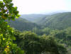 terepaima (1).jpg (70496 bytes)